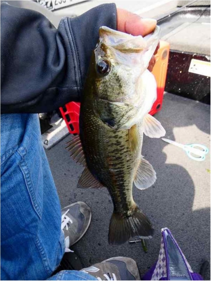 truth  ブログ写真 2018/04/22