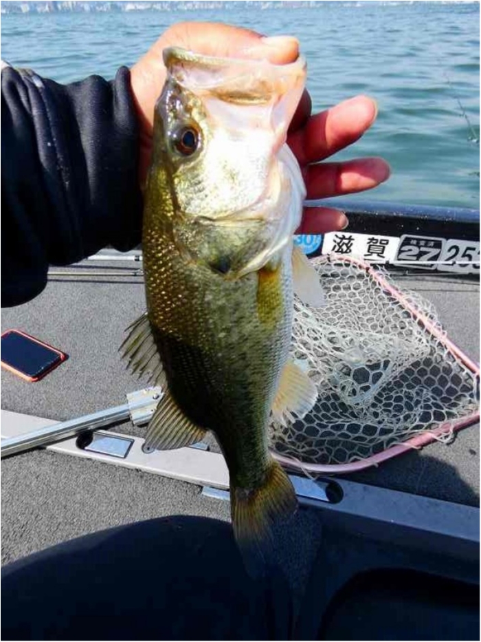 truth  ブログ写真 2018/04/23