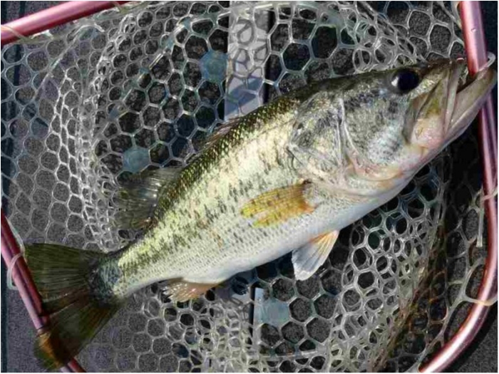 truth  ブログ写真 2018/04/23