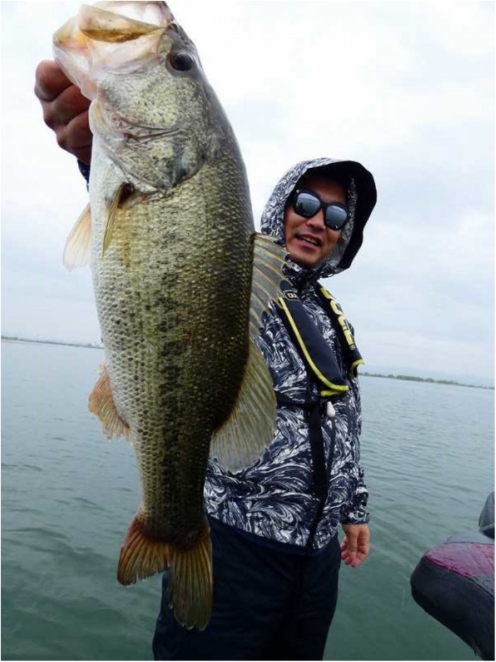 truth  ブログ写真 2018/04/24