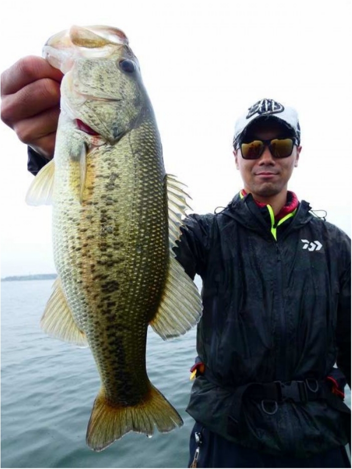 truth  ブログ写真 2018/04/24