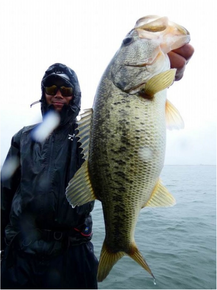 truth  ブログ写真 2018/04/24