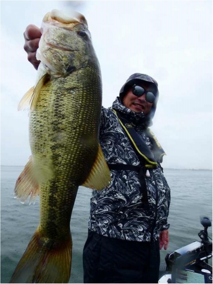 truth  ブログ写真 2018/04/24