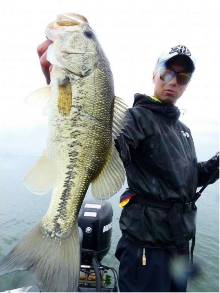 truth  ブログ写真 2018/04/24