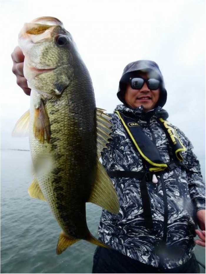 truth  ブログ写真 2018/04/24