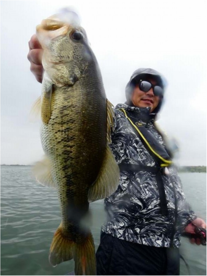 truth  ブログ写真 2018/04/24