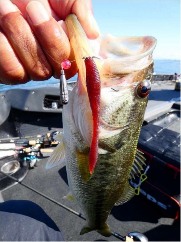 truth  ブログ写真 2018/04/26