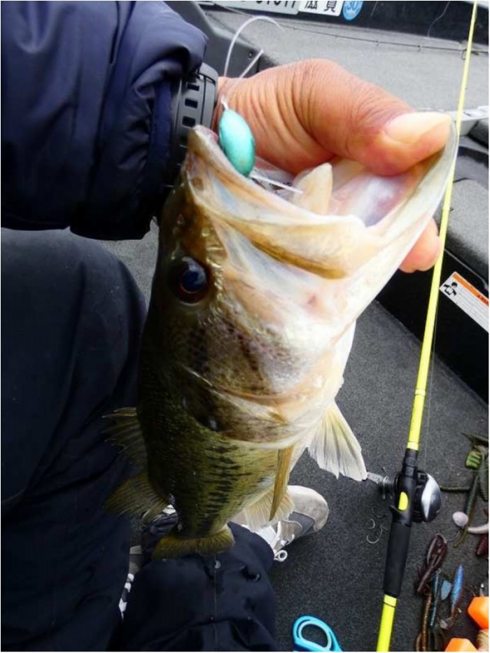 truth  ブログ写真 2018/04/27