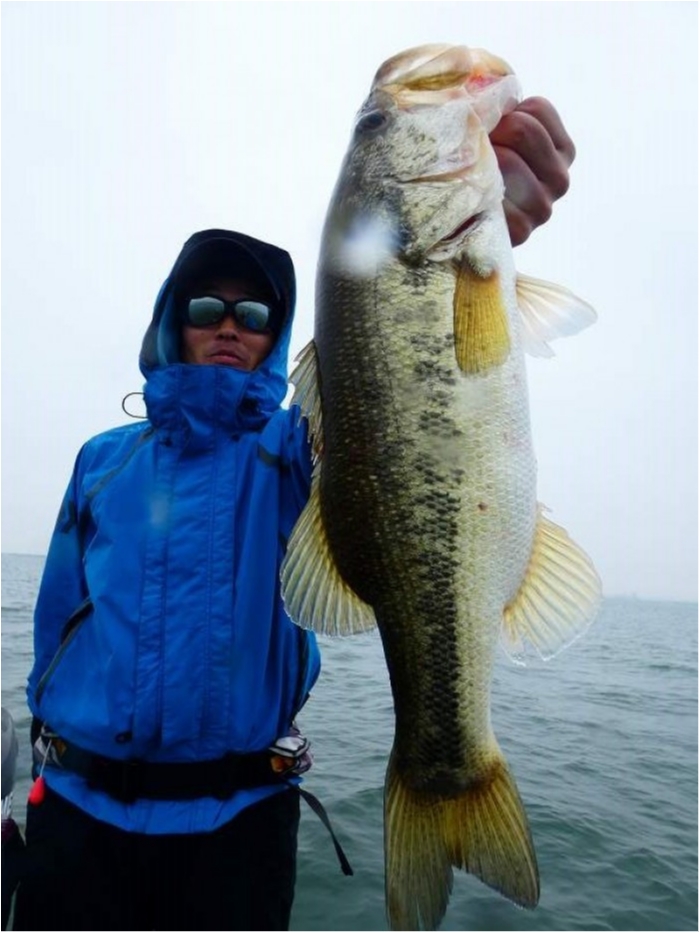 truth ブログ写真 2018/05/13