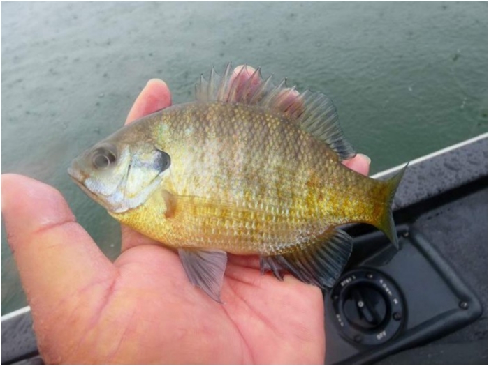 truth ブログ写真 2018/05/13