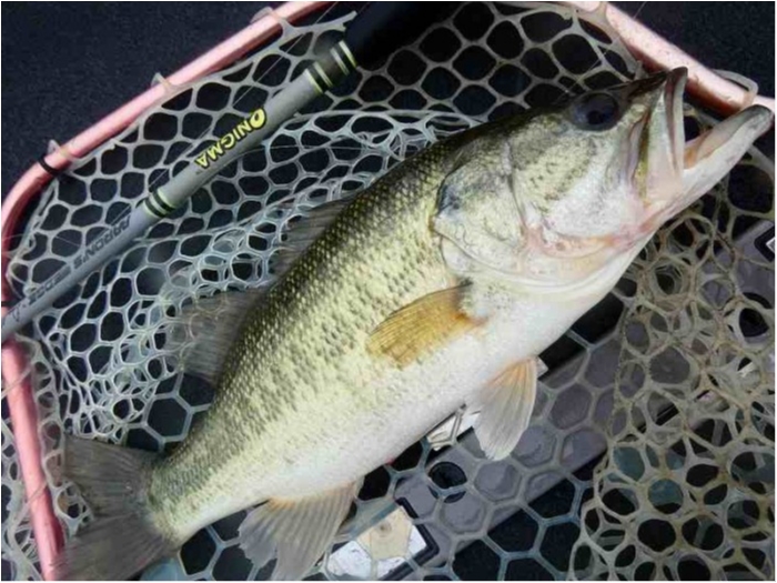 truth ブログ写真 2018/05/13