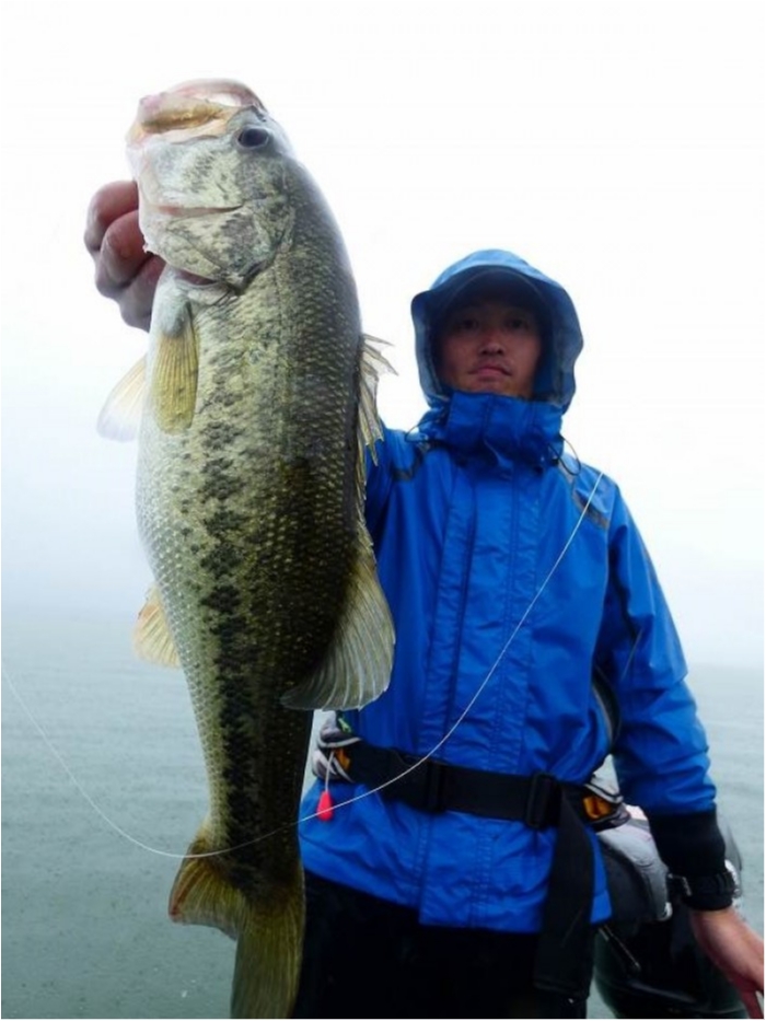 truth ブログ写真 2018/05/13