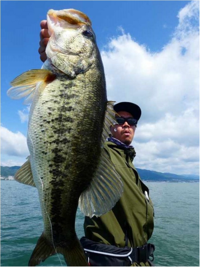 truth ブログ写真 2018/05/14