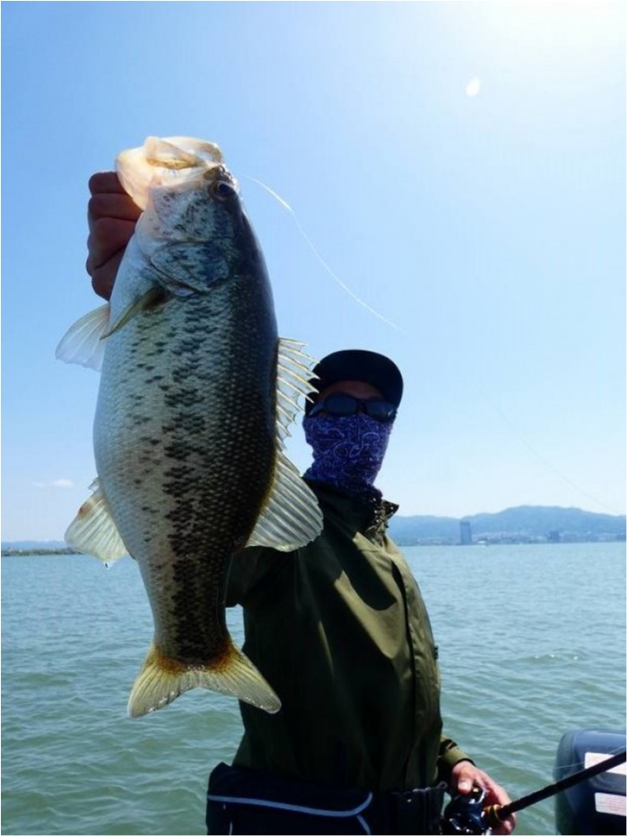 truth ブログ写真 2018/05/14