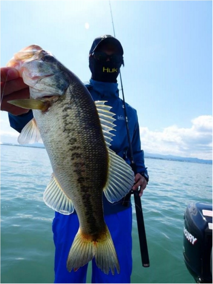 truth ブログ写真 2018/05/14