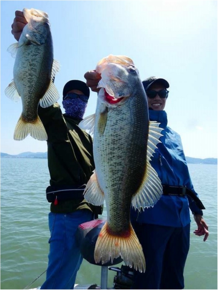 truth ブログ写真 2018/05/14