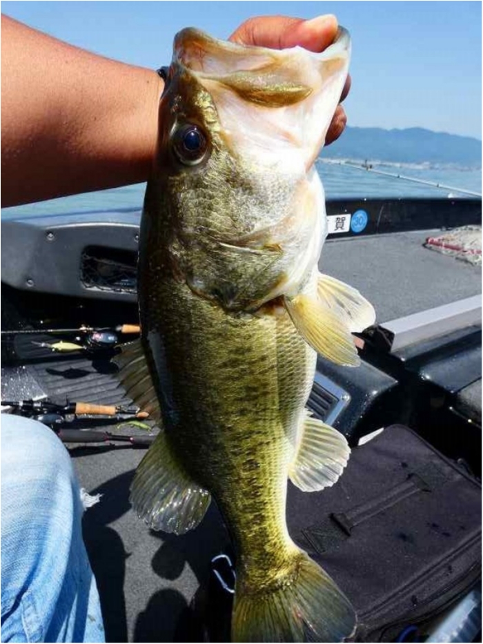 truth ブログ写真 2018/05/15