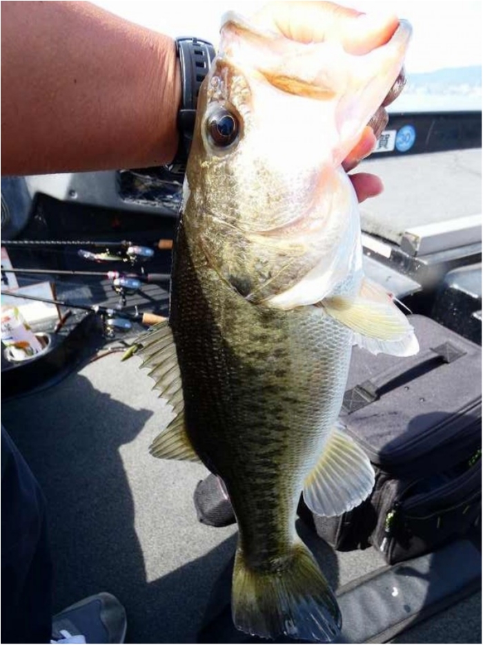 truth ブログ写真 2018/05/15