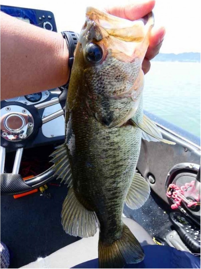 truth ブログ写真 2018/05/15