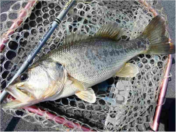 truth ブログ写真 2018/05/15