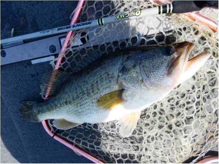 truth ブログ写真 2018/05/15