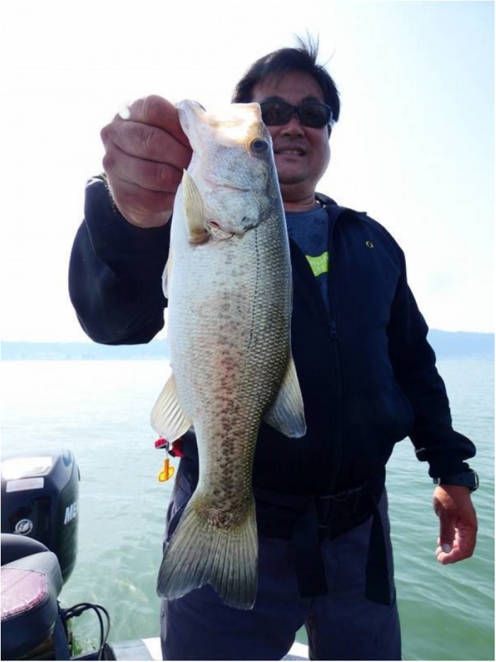 truth ブログ写真 2018/05/15