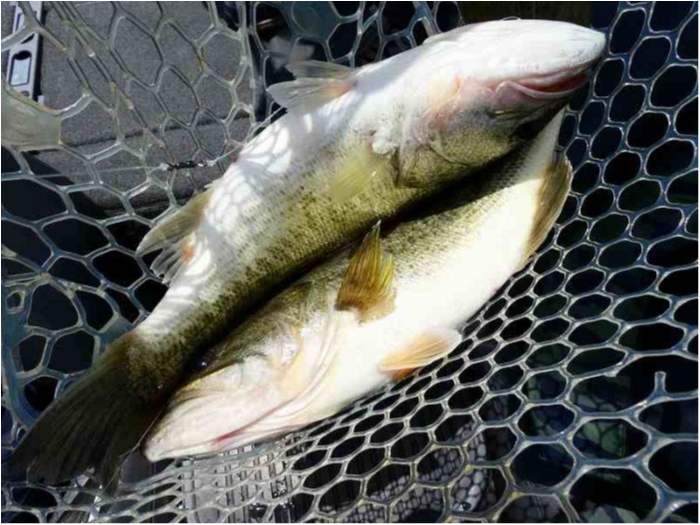 truth ブログ写真 2018/05/15