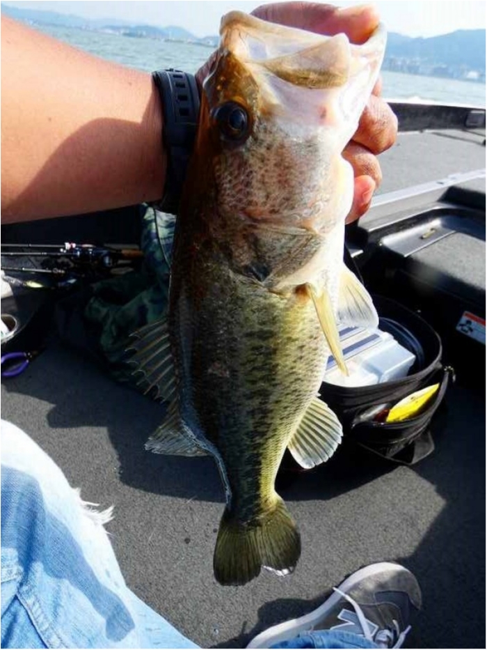 truth ブログ写真 2018/05/15