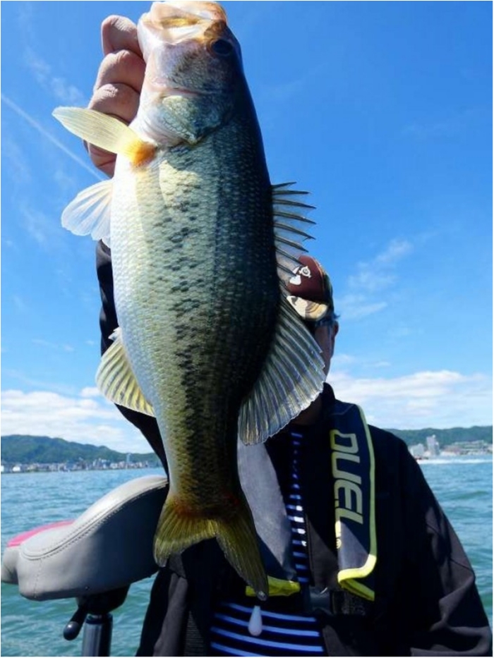 truth  ブログ写真 2018/05/20