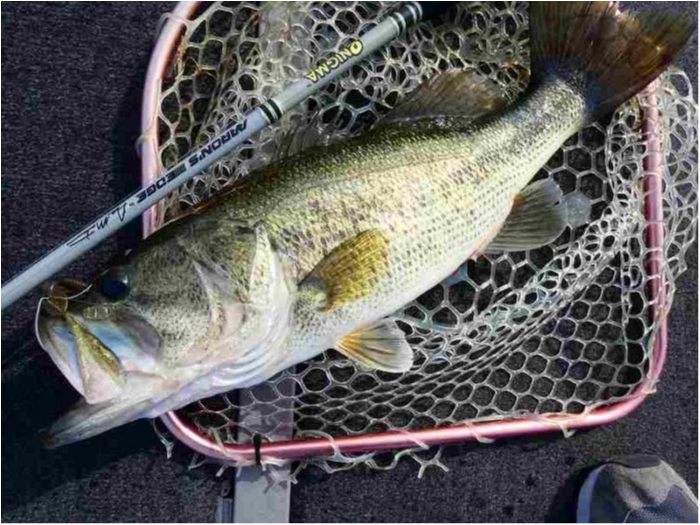 truth  ブログ写真 2018/05/21