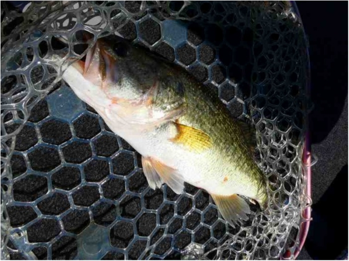 truth  ブログ写真 2018/05/21