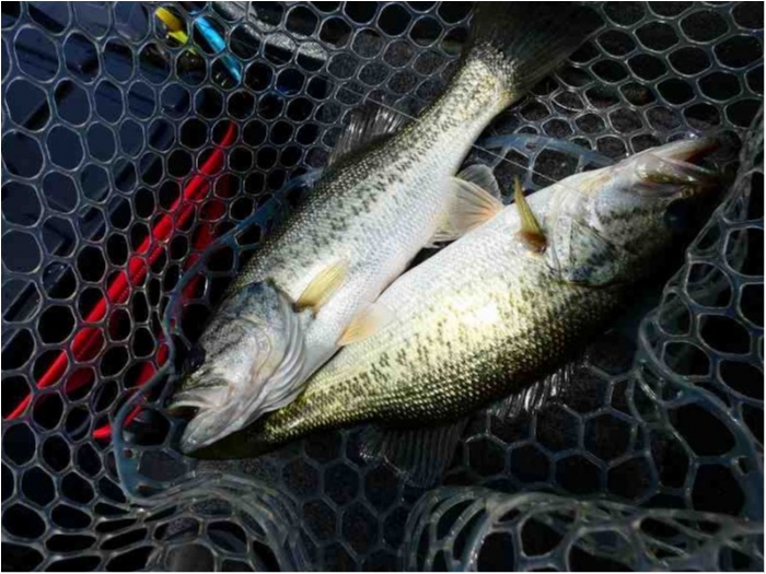 truth  ブログ写真 2018/05/21