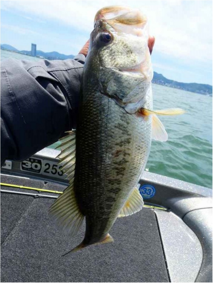 truth  ブログ写真 2018/05/21