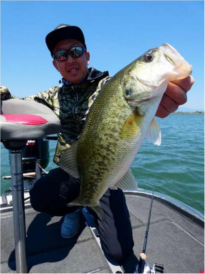 truth  ブログ写真 2018/05/22