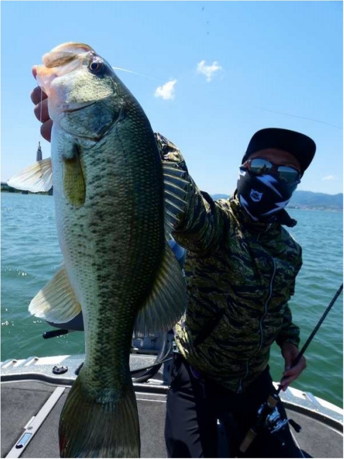 truth  ブログ写真 2018/05/22