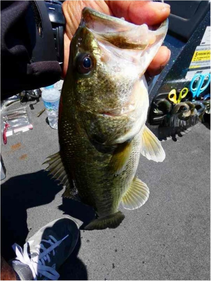 truth  ブログ写真 2018/05/22