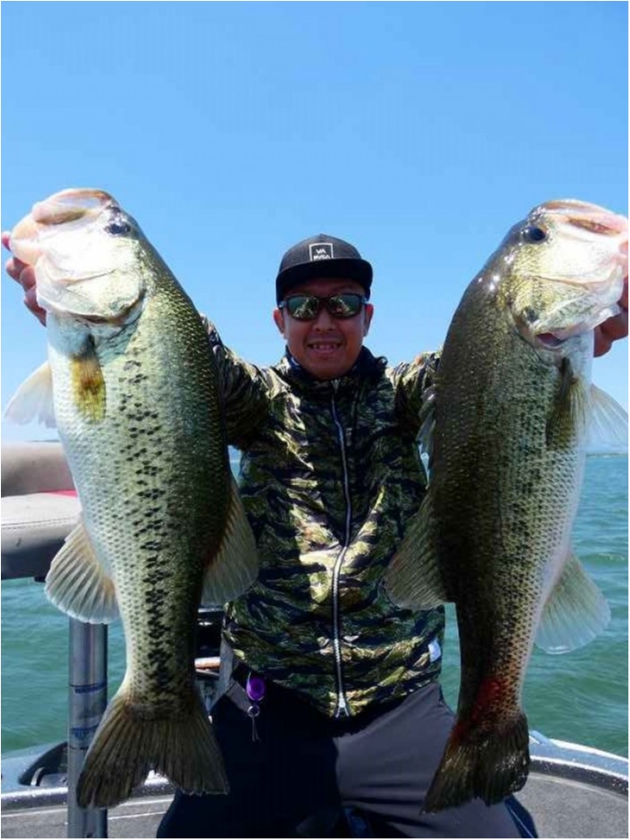 truth  ブログ写真 2018/05/22