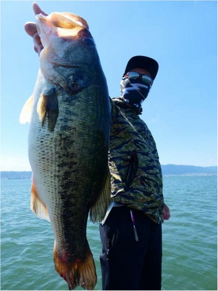 truth  ブログ写真 2018/05/22