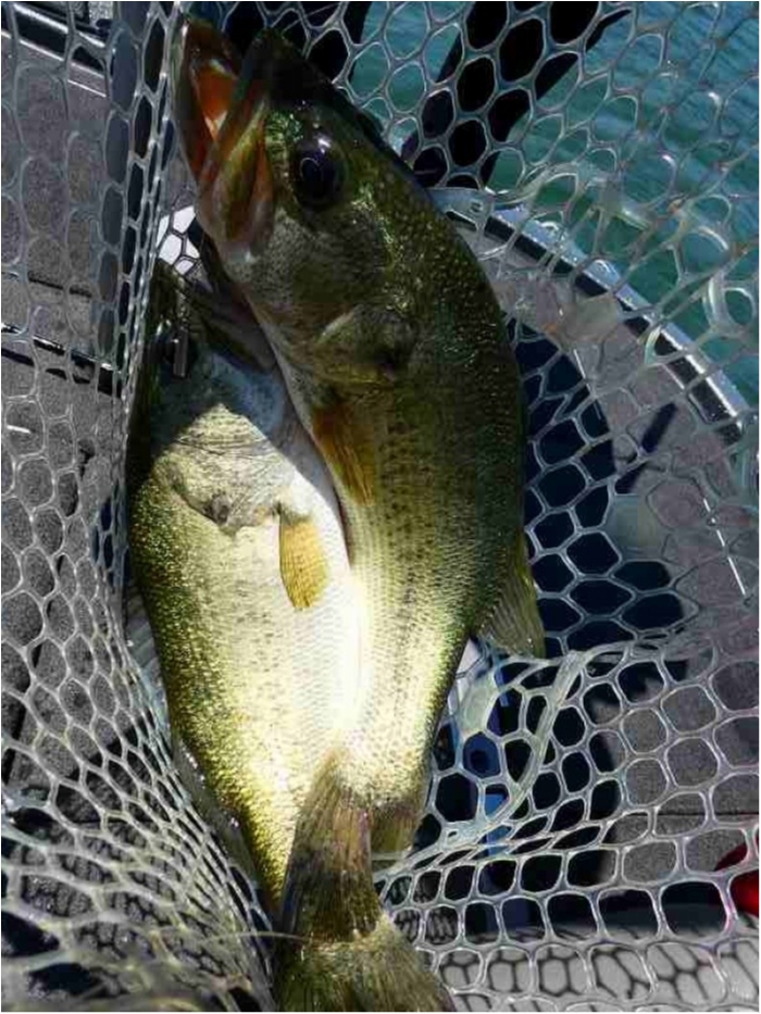 truth  ブログ写真 2018/05/22