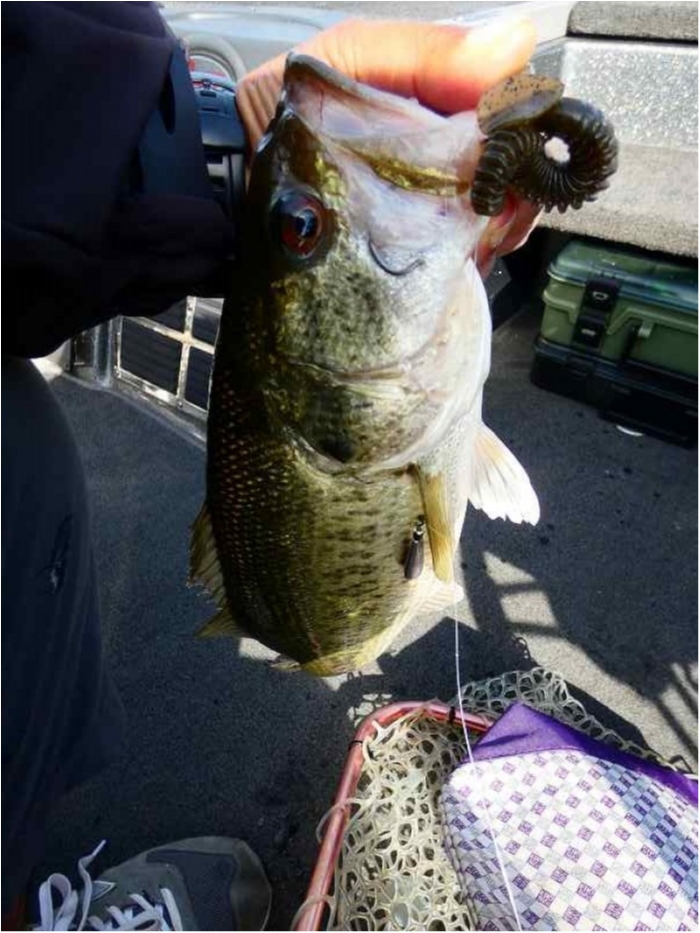 truth  ãã­ã°åç 2018/05/22