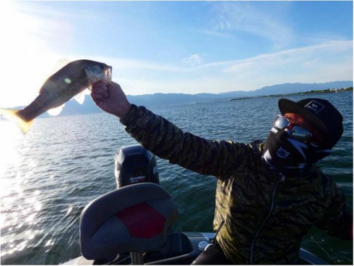 truth  ãã­ã°åç 2018/05/22