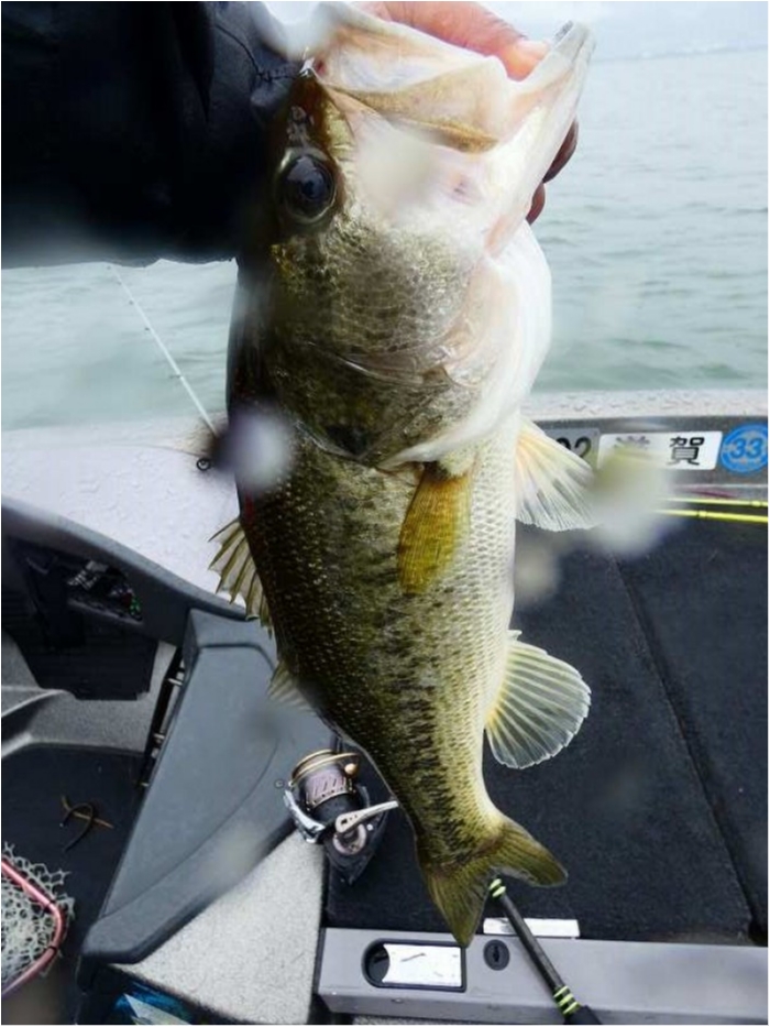 truth  ブログ写真 2018/05/23