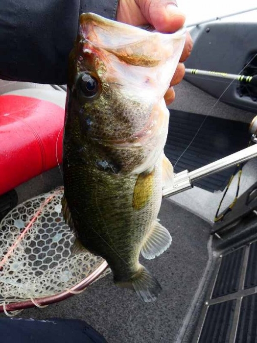 truth  ãã­ã°åç 2018/05/23