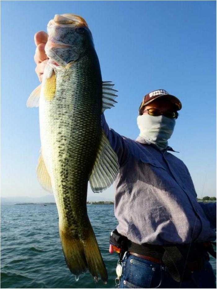 truth  ブログ写真 2018/05/27