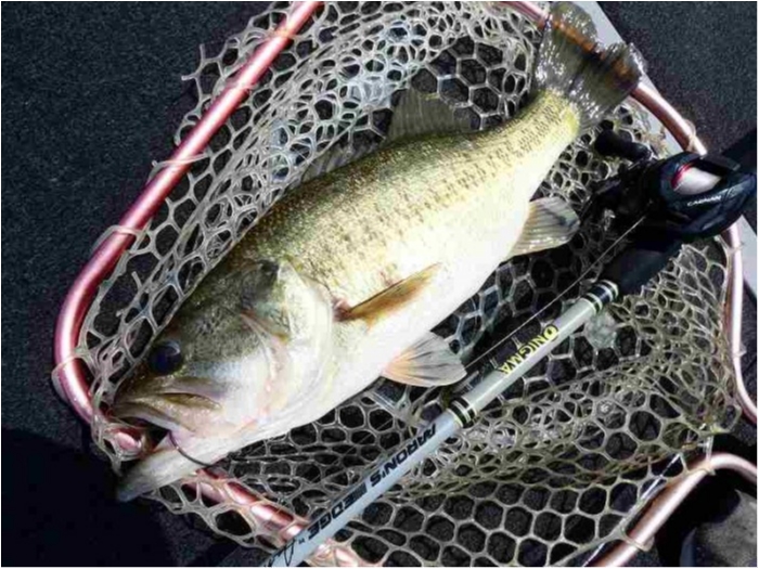 truth  ブログ写真 2018/06/01