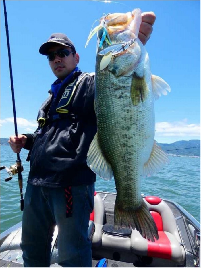 truth  ブログ写真 2018/06/16