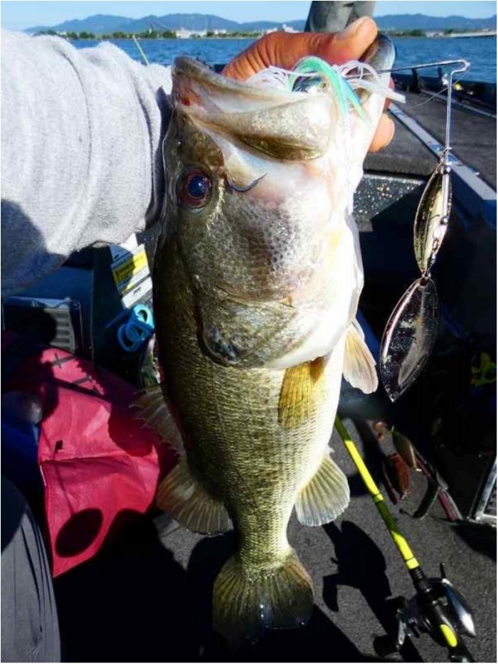 truth  ブログ写真 2018/06/16