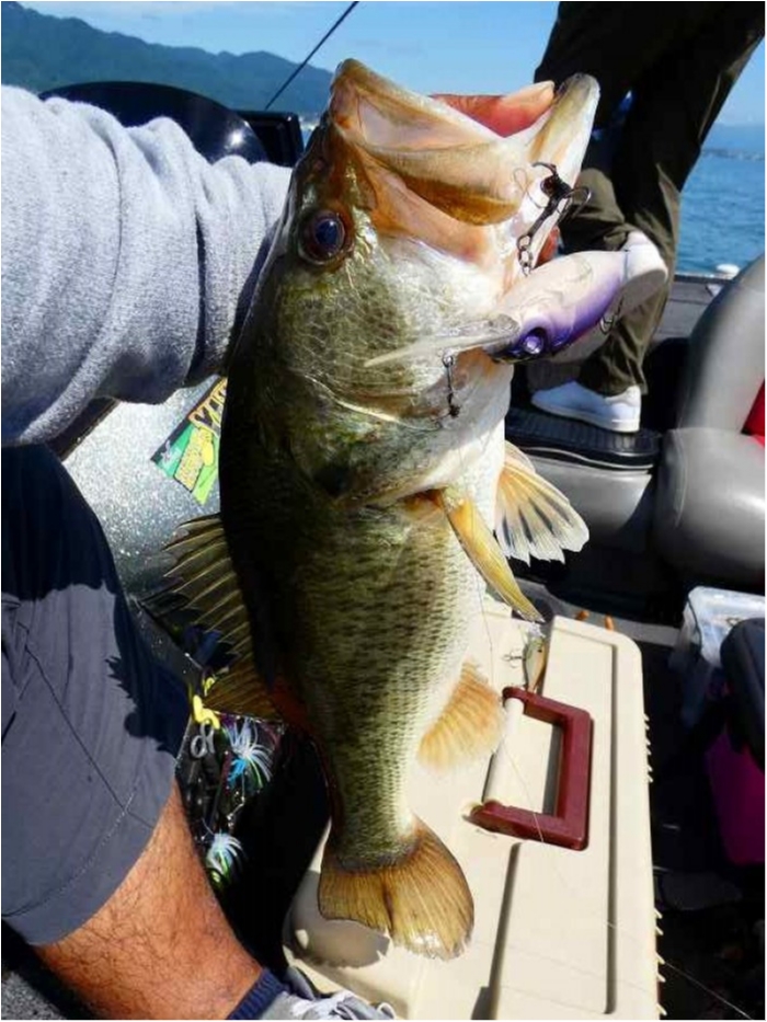 truth  ブログ写真 2018/06/16