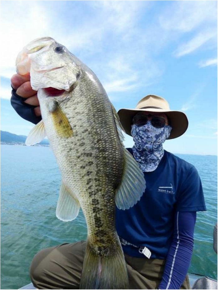 truth  ブログ写真 2018/06/16