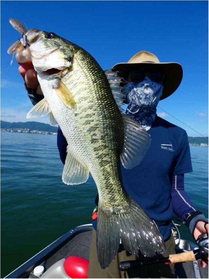 truth  ブログ写真 2018/06/16